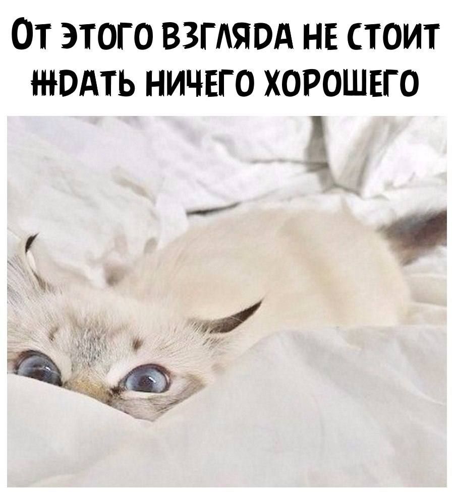 ОТ ЭТОГО ВЗГАЯОА НЕ СТОИТ НЮАТЬ НИЧЕГО ХОРОШЕГО ф и