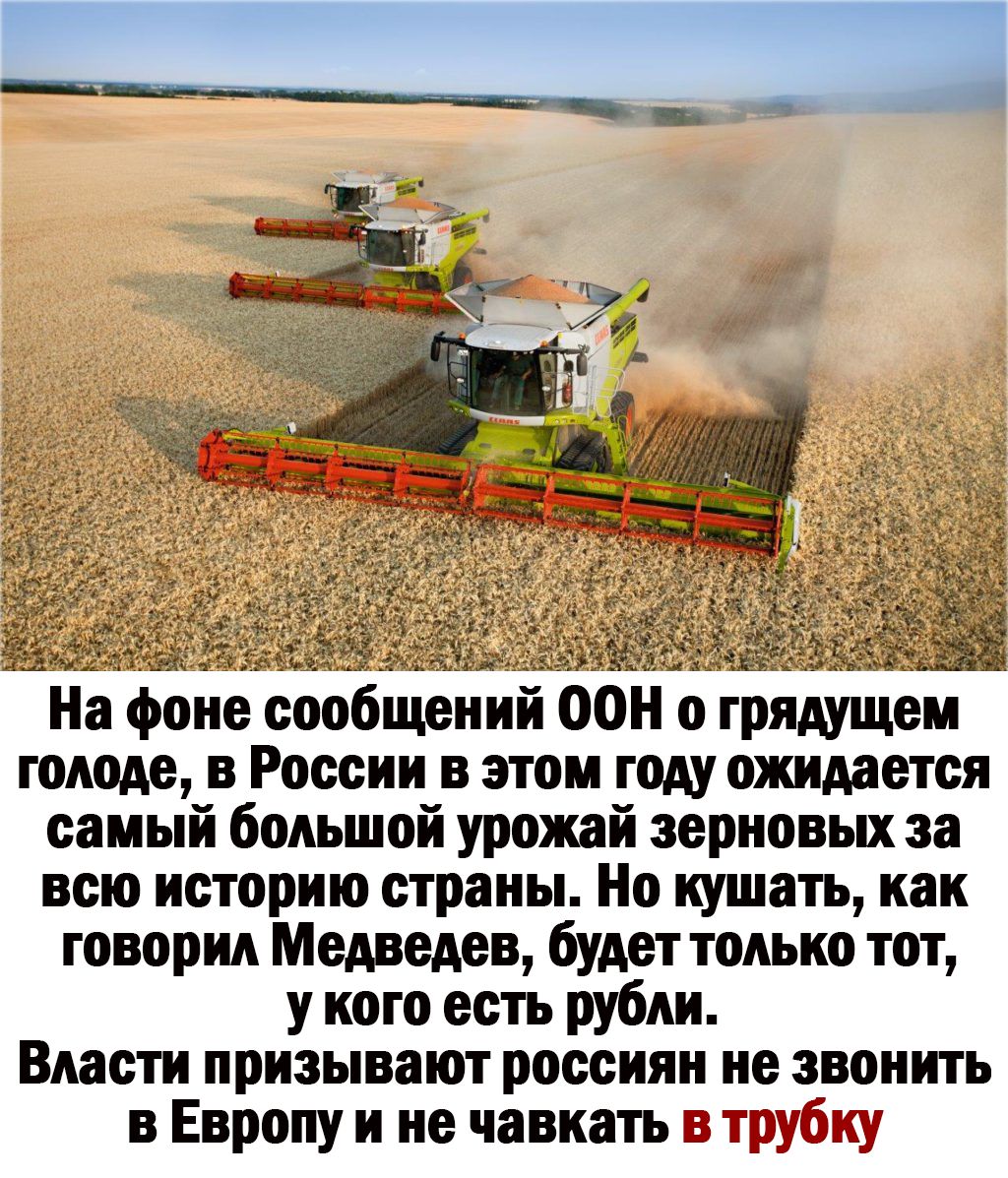 На фоне сообщении ООН о грядущем голоде в России в этом году ожидается самый большой урожай зерновых за всю историю страны Но кушать как говорил Медведев будет только тот у кого есть рубли Власти призывают россиян не звонить в Европу и не чавиать