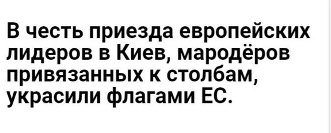 В честь приезда европейских лидеров в Киев мародёров привязанных к столбам украсили флагами ЕС