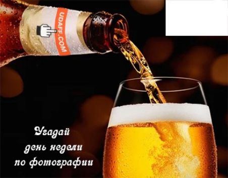Уилли день медии по фотанрафип