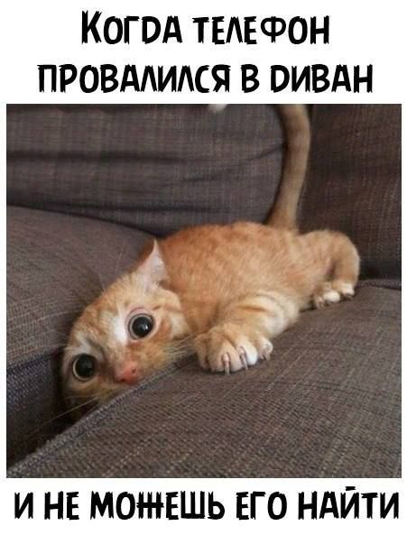 КОГВА ТЕАЕФОН ПРОВААИАСЯ В ВИВАН И НЕ МОЖЕШЬ ЕГО НАЙТИ