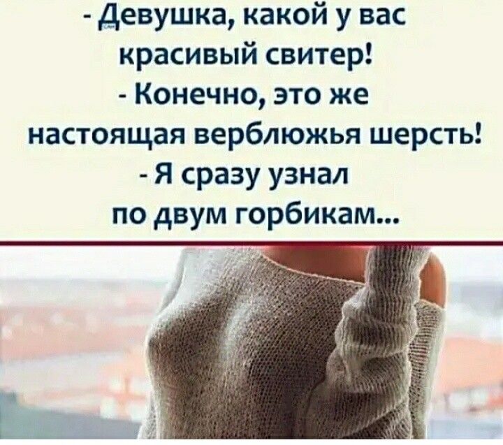 Девушка какой у вас красивый свитер Конечно э ю же настоящая верблюжья шерсть Я сразу узнал по двум горбикам