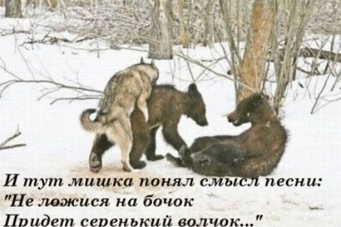 Итут мишки понял ы Не ложная на бачок Придет серенький волчок песн