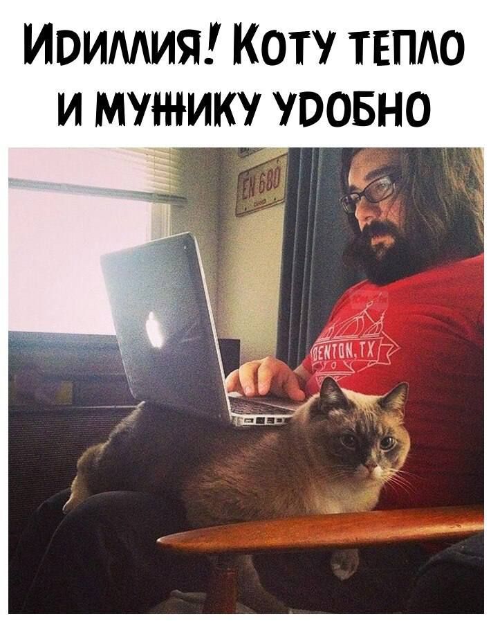 Иоимия Коту твпдо и мужику уровне