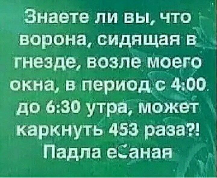 Знаете ли вы что ворона сидящая Ві гнезде возле моего окна в период с 400 до 630 утра можеі к аркнуть 453 раза Падла еСанап