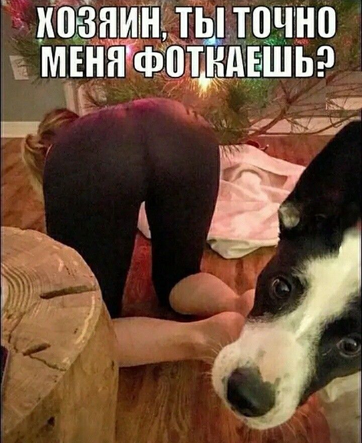 ждёндигигдыдтдчнп МПаіцъіёдёшьэ