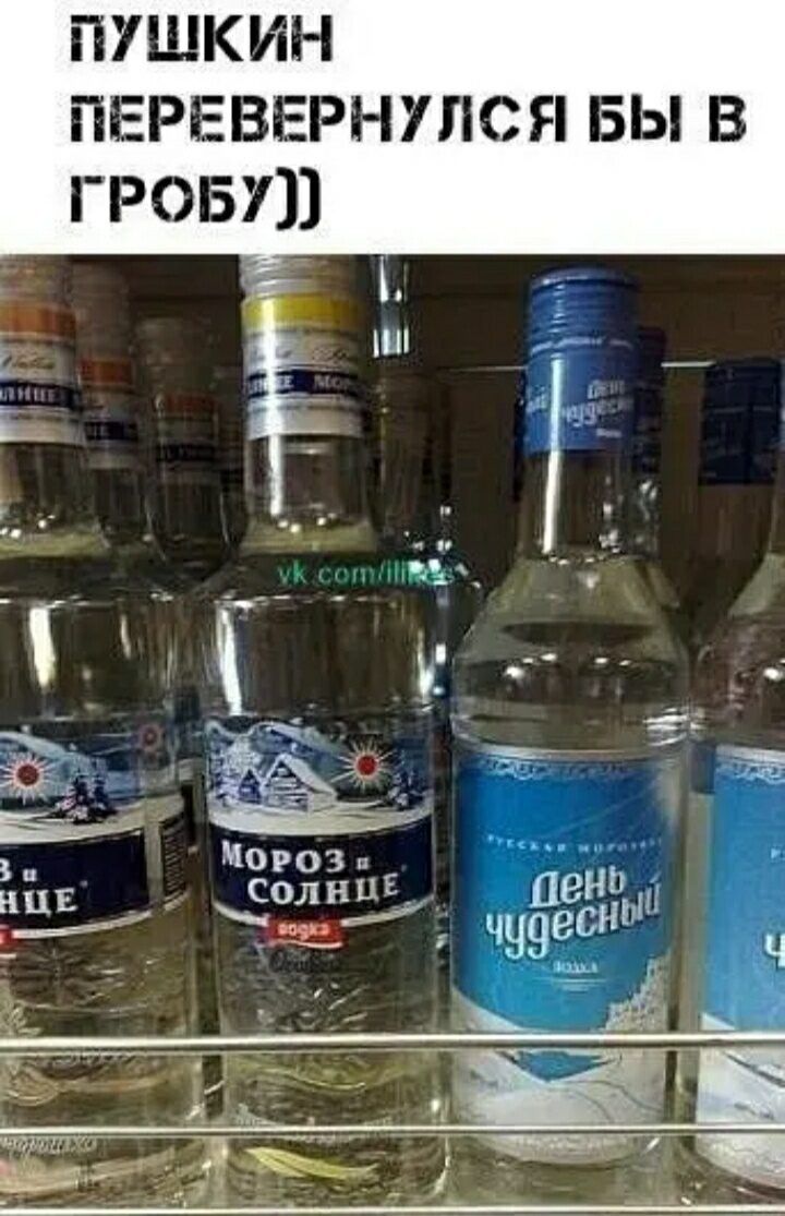 ПУШКИН ПЕРЕВЕРНУПСЯ БЫ В