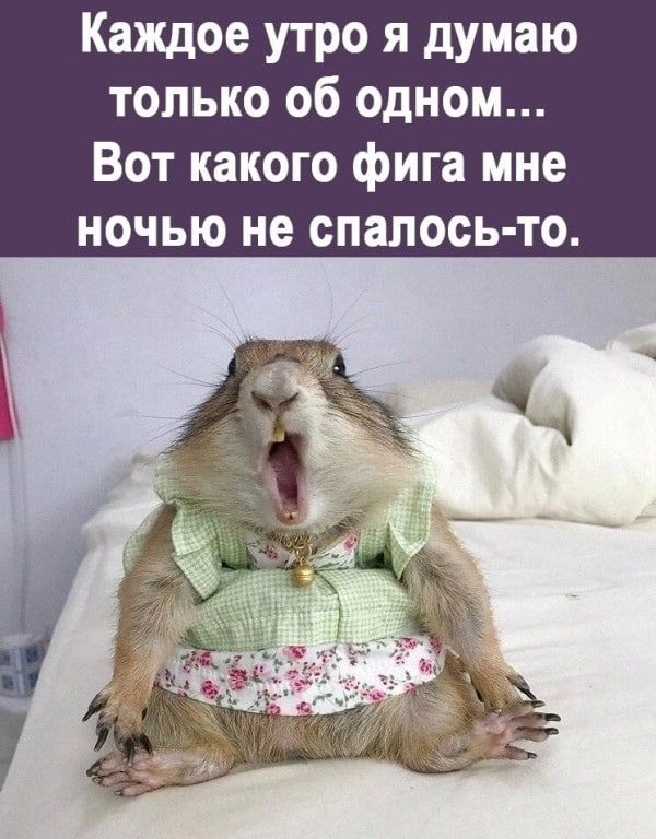 Каждое утро я думаю только об одном Вот какого фига мне ночью не спапось то