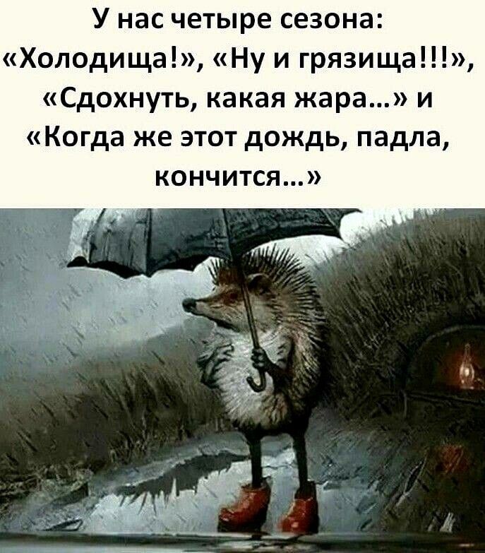 У нас четыре сезона Хоподища Ну и грязища Сдохнуть какая жара и Когда же этот дождь падла кончится