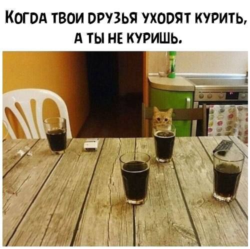 КОГВА ТВОИ ОРВЬЯ ХООЯТ КУРИТЬ А ТЫ НЕ КУРИШЬ