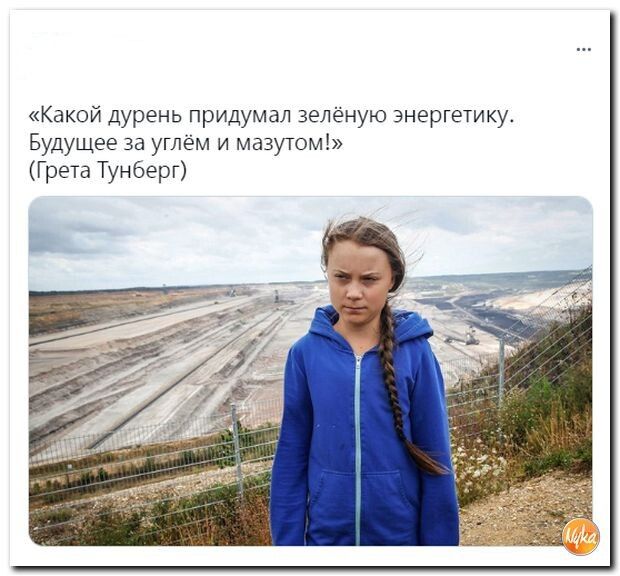 Какой дурень придумал зеленую энергетику Будущее за углем и мазутом Грета Тунберг