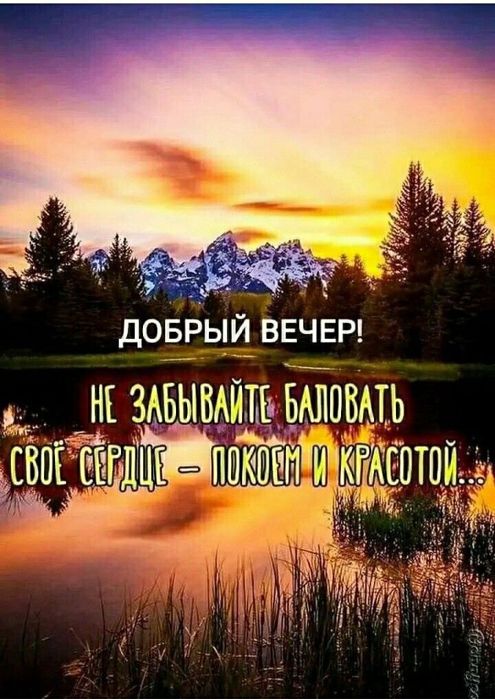 ДОБРЫИ ВЕЧЕР шй ЗАБЫВАИТЬ БМЮВАТЬ