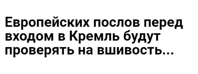 Европейских послов перед входом в Кремль будут проверять на вшивость