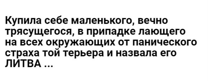 Купила себе маленького вечно трясущегося в припадке пающего на всех окружающих от панического страха той терьера и назвала его ЛИТВА