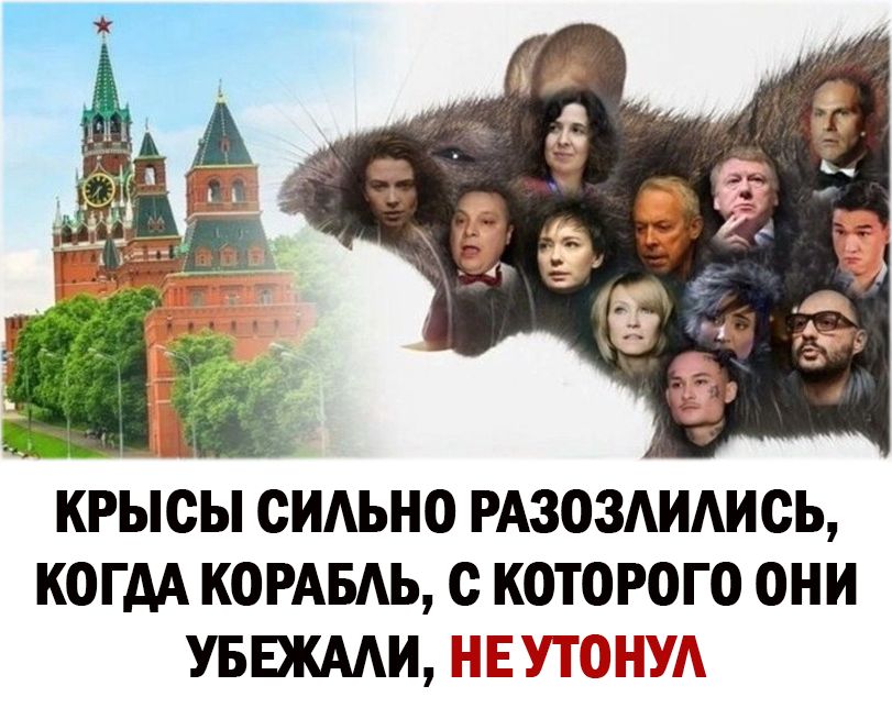 КРЫСЫ ОИАЬИО РАЗОЗАИАИОЪ КОГАА КОРАБАЬ О КОТОРОГО ОНИ УБЕЖААИЬ