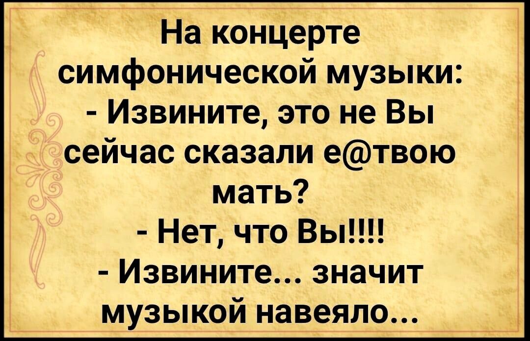 На концерте симфонической музыки Извините это не Вы сейчас сказали етвою мать Нет что Вы Извините значит музыкой навеяло