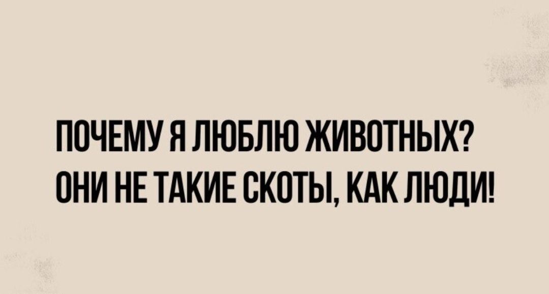 ППЧЕМУ Я ЛЮБЛЮ ЖИВОТНЫХ ПНИ НЕ ТАКИЕ ВКОТЫ КАК ЛЮДИ