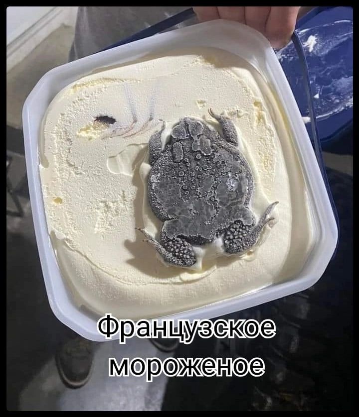 р нщузсеюж морэжеНе