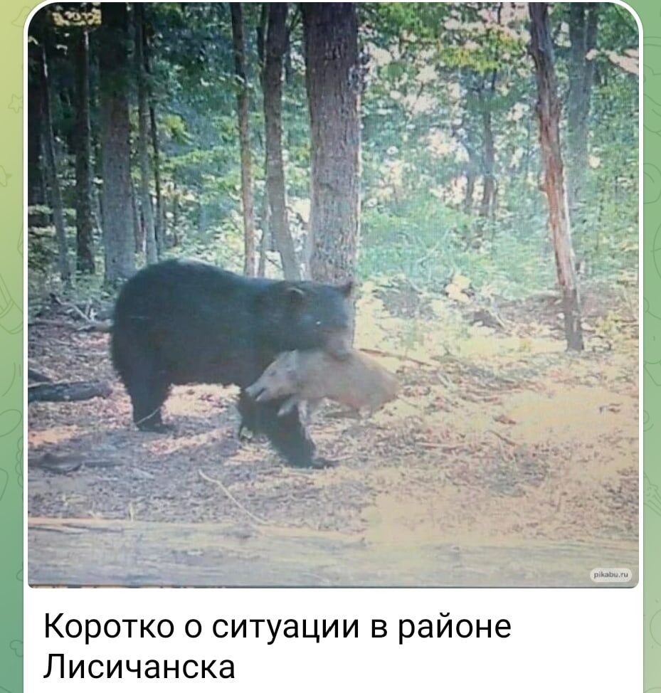 ионе Коротко о ситуации в ра Лисичанске