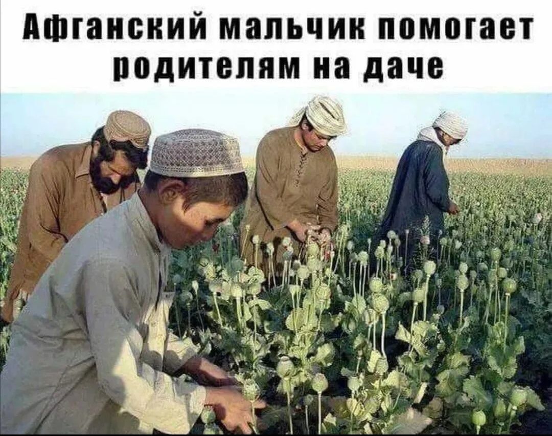 ПШПШСИИЙ мальчик ППМПШП ПВДИТППМ Н даче
