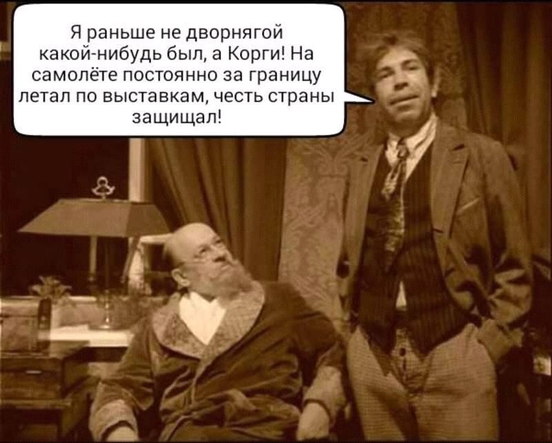 я раньшд не дворнягоп канон ни дь был 3 копии На самопете пвптчиип за границу летал по выст ниям че ь страны защищап