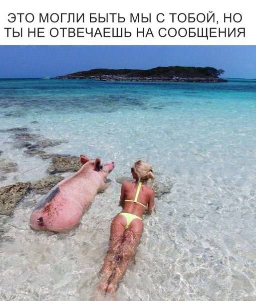 ЭТО МОГЛИ БЫТЬ МЫ С ТОБОЙ НО ТЫ НЕ ОТВЕЧАЕШЬ НА СООБЩЕНИЯ