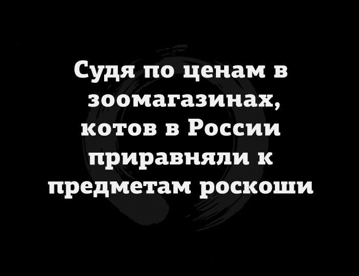 Судя по ценам в зоомагазинах котов в России приравняли к предметам роскоши