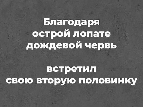 Благодаря острой лопате дождевой червь встретил свою вторую половинку