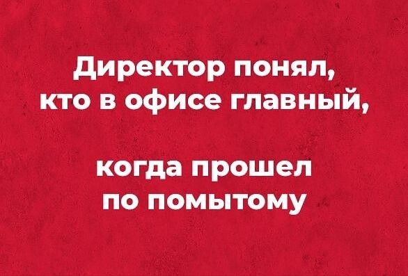 директор понял кто в офисе главный когда П рошеп ПО ПОМЬПОМУ