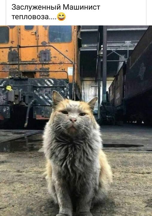 Заслуженный Машинист тепловозае
