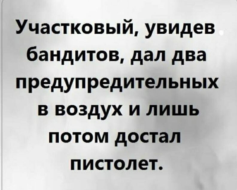 Участковый увидев бандитов дал два предупредительных в воздух и лишь потом достал пистолет