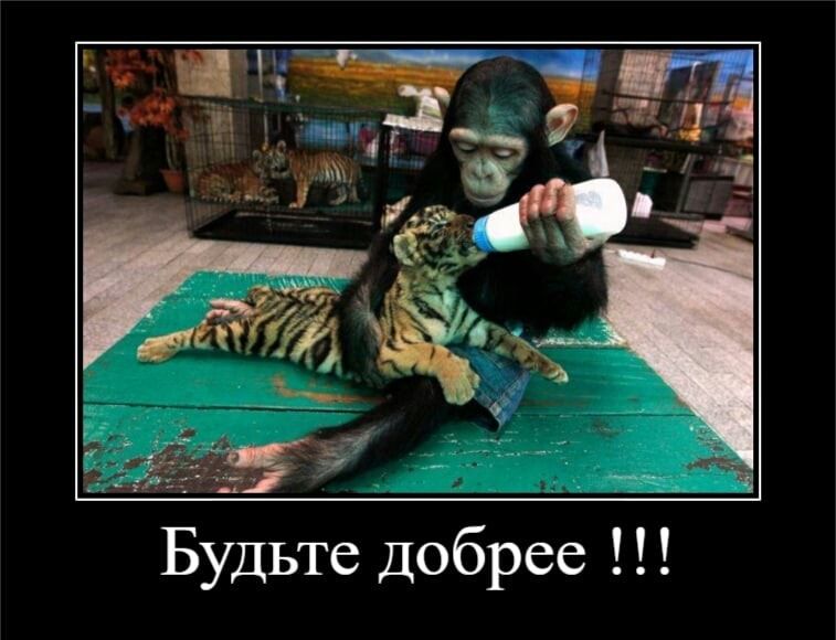 дат удьте добрее