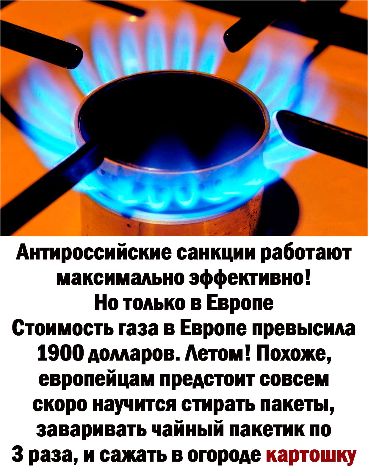 Антнроссийские санкции работают максимально эффективно Но только в Европе Стоимость газа в Европе превысила 1900 домаров Аетом Похоже европейцам предстоит совсем скоро научится стирать пакеты заваривать чайный пакетик по 3 раза и сажать в огороде