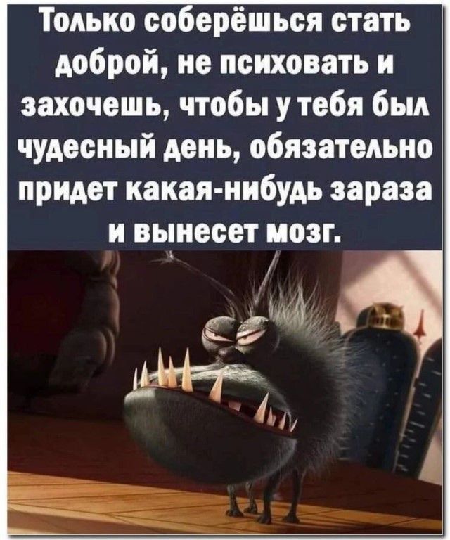 Только со ерёшьея стать доброй не пенховать и захочешь чтобы у тебя был чудесный день обязательно придет какая нибудь зараза и вынесет мозг