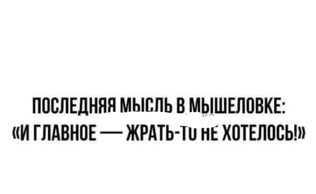 ППВЛЕДНПП МЫСПЬ В МЫШЕЛПВКЕ И ГЛАВНПЕ ЖРАТЬ Ти нЕ ХПТЕЛПБЫ