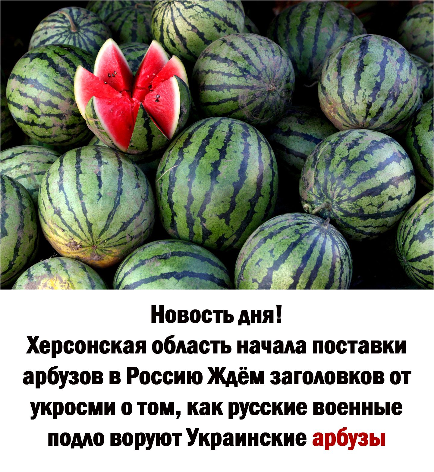 Новость дии Херсонская область начала поставки арбузов Россию Ждём заголовков от укроеии о тои как русские военные помо воруют Украинские арбузы
