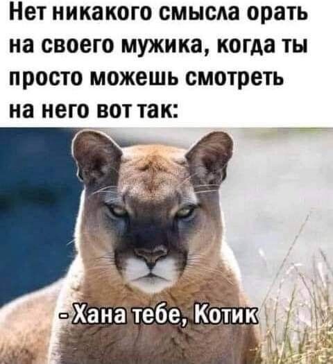 Нет никакого СМЫОАЗ орать на СВОЕГО мужика когда ТЫ ПРОСТО МОЖЕШЬ смотреть на него ВОТ так 1ик