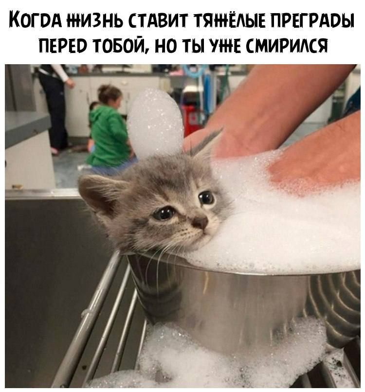 КОГОА ЖИЗНЬ СТАВИТ ТЯЁАЫЕ ПРЕГРАОЫ ПЕРЕО ТОБОЙ НО ТЫ УЖЕ СМИРИАСЯ