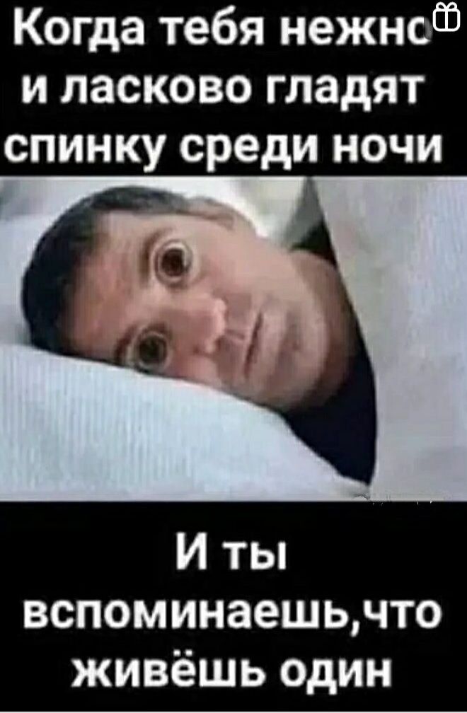 Когда тебя на житБ и ласково гладят спинку среди ночи И ты вспоминаешьчто живёшь один
