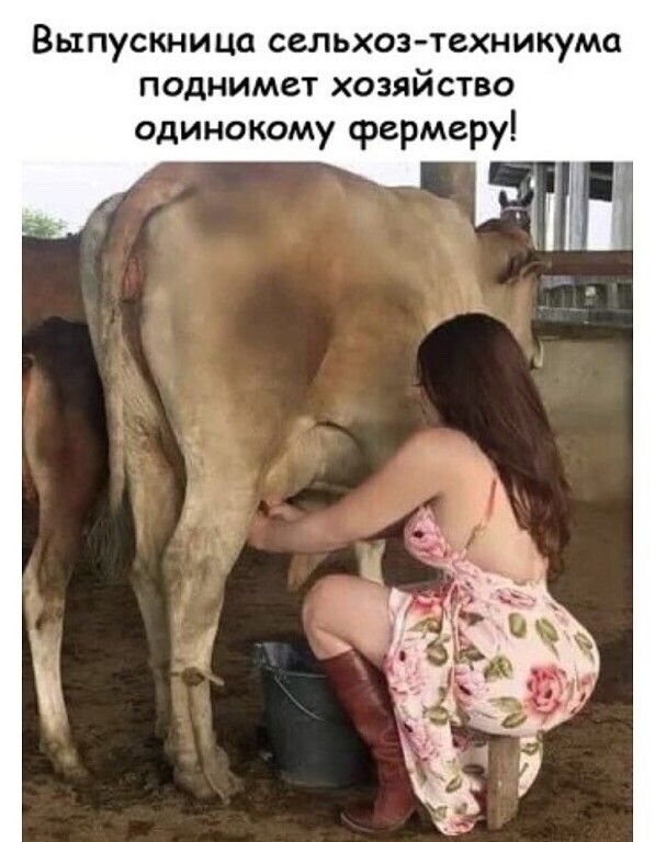 Выпускница сельхозтехникума поднимет хозяйства одинокому фермеру