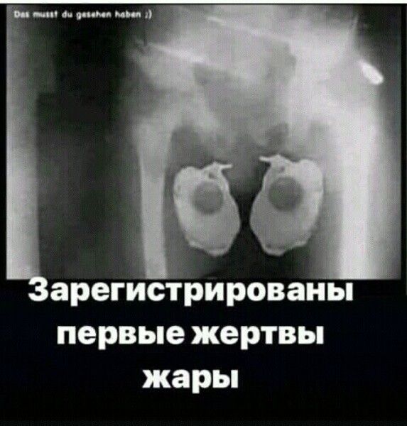 арегистрироваиы первые жертвы жары