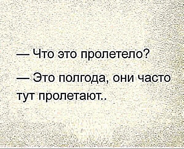 Что это пролетело Это полгода они часто _ тут пролетают