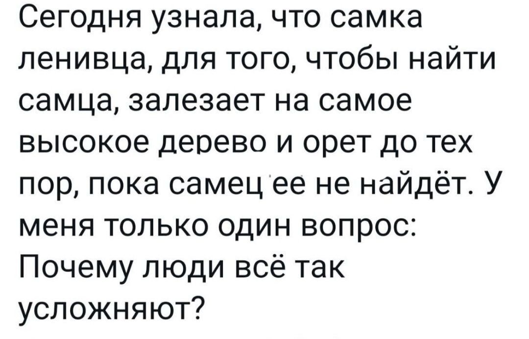 Сегодня узнала что самка ленивца для того чтобы найти самца залезает на самое высокое дерево и орет до тех пор пока самец ее не найдёт У меня только один вопрос Почему люди всё так усложняют