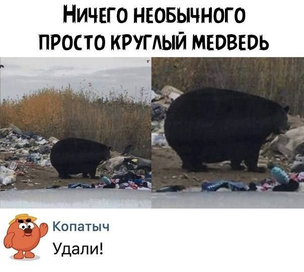НИЧЕГО НЕОБЫЧНОГО ПРОСТО КРУГАЫЙ МЕВВЕОЬ