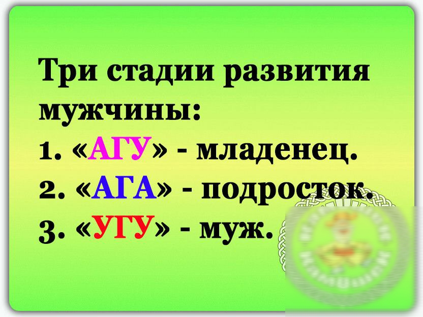 Три стадии развития мужчины ь младенец ЪЩМ тадро 3 УГУъъ иуж ЁЁ