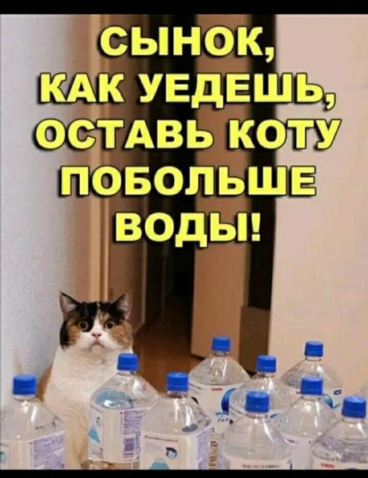 СЫНОК
