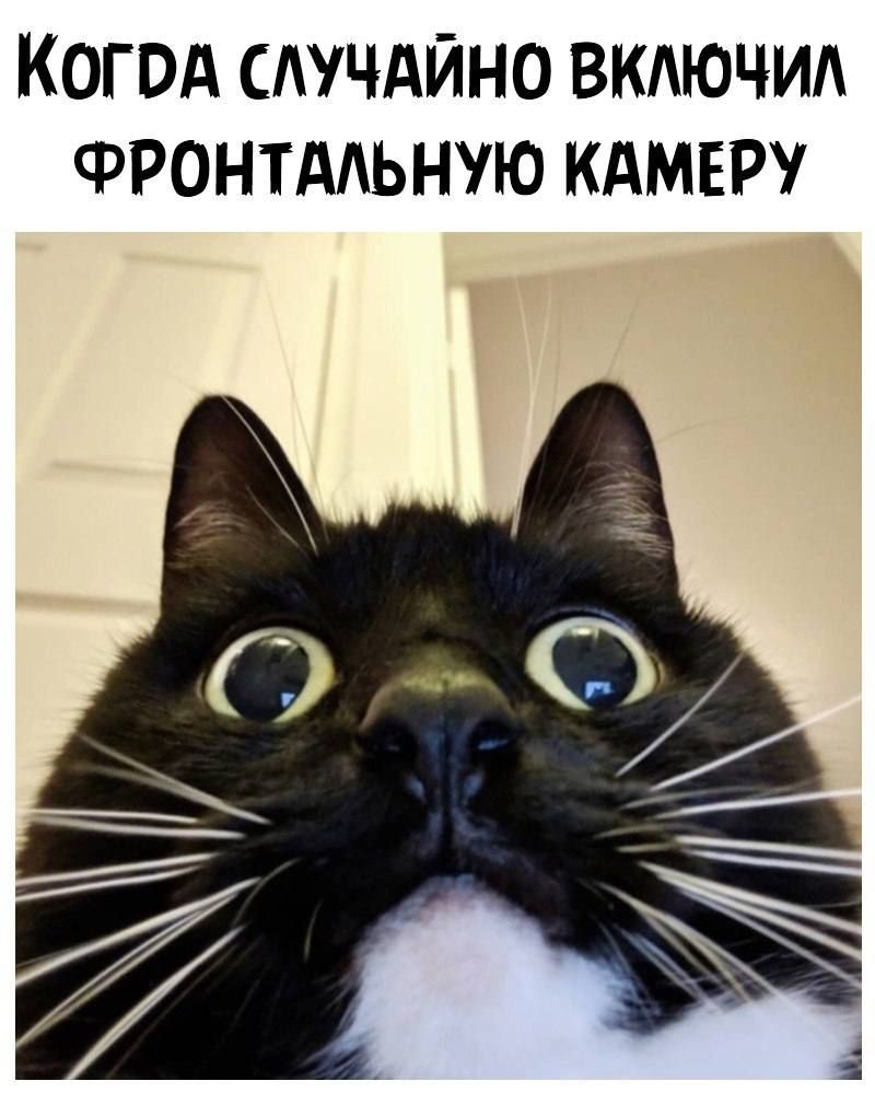 КОГОА СЛУЧАЙНО ВКАЮЧИА ФРОНТАЬНУЮ КАМЕРУ