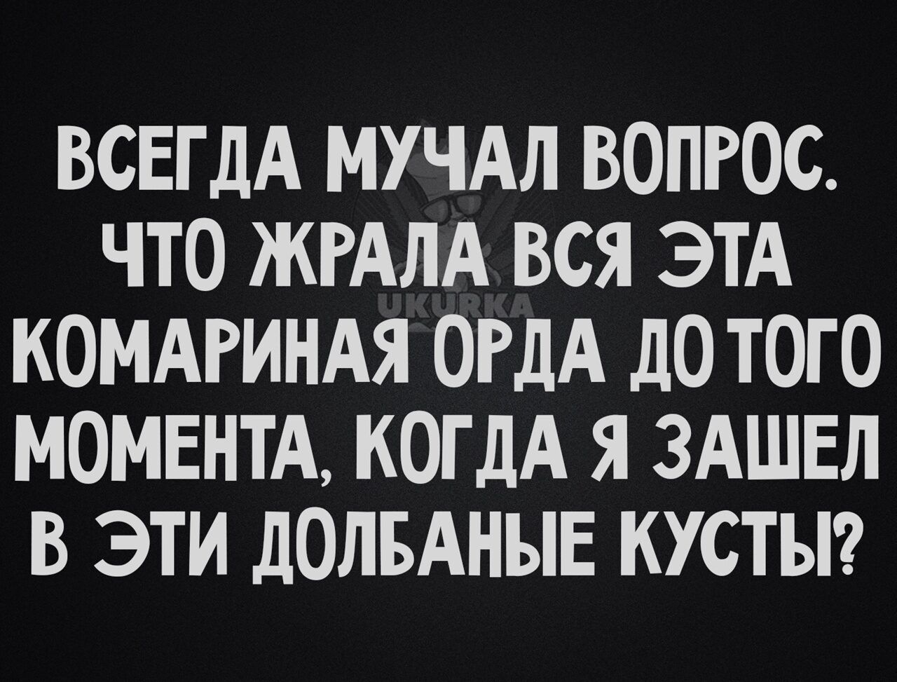 ВСЕГДА МУЧАЛ ВОПРОС ЧТО ЖРАЛА ВСЯ ЭТА КОМАРИНАЯ ОРДА дО ТОГО МОМЕНТА КОГДА Я ЗАШЕЛ В ЭТИ ДОЛБАНЫЕ КУСТЫ