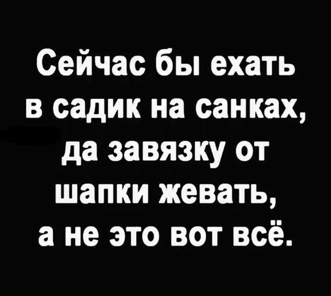 Сейчас бы ехать в садик на санках да завязку от шапки жевать а не это вот всё