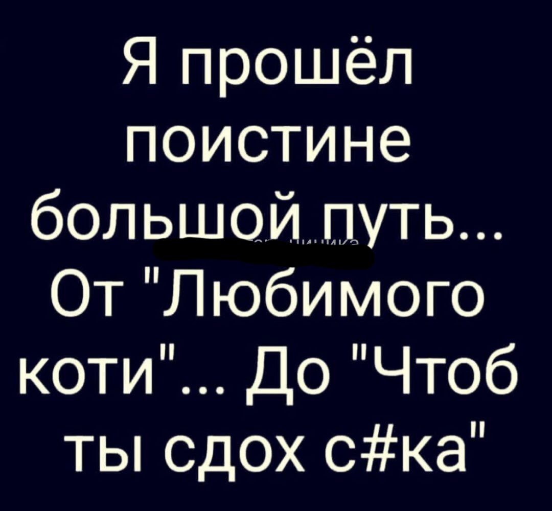 Я прошёл поистине большойпуть От Любимого коти До Чтоб ты сдох Ска